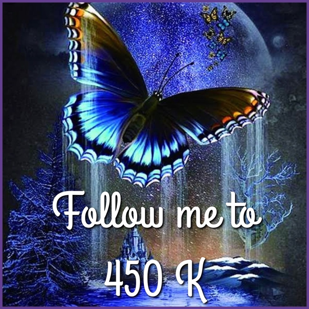 HIT  450 - Picture 2 of 5